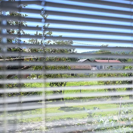 Hébergement de vacances Musafir's House Pazaric