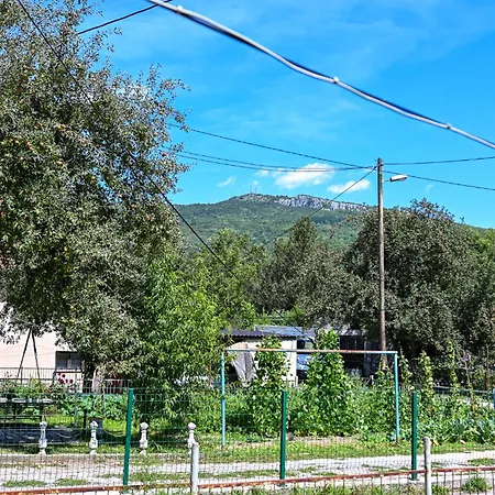 Musafir's House * Pazaric