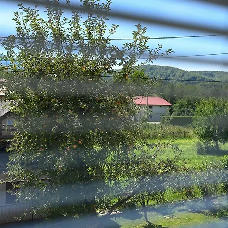 Musafir's House Pazaric