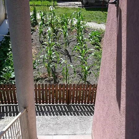 Hébergement de vacances Musafir's House Pazaric